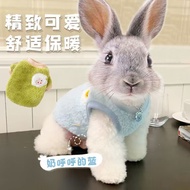 Pet Bunny Clothes Autumn Winter Warm Essential Supplies Dwarf Bunny Cat Bunny Lop-eared Bunny Young 