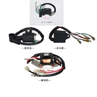 ET950 ET650 IE45 TG950 with Magneto Ignition coil Ignitor for TIGER Yamaha Generator 450W 650W 800W 