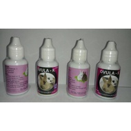 Ovula K - Obat Penyubur Kelinci