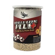 Salto Wheat Germ Plus 700g for Conditioning for Gamefowl Rooster