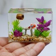 Miniature clay betta in the tank