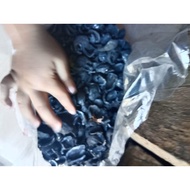 1 kg of candlenut shell charcoal bbq charcoal bbq grill bbq accessories