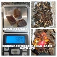 Borongan 3pcs batu fosil getah katilayu natural