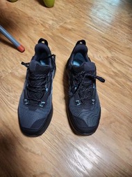 TERREX AX4 GORE-TEX  行山鞋