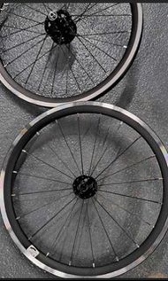 Brompton 小布 T Line