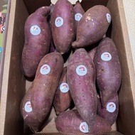 Japanese Sweet Potato Beni Haruka (Imported) 3.5 kg. Beaver Brand And Fragrant