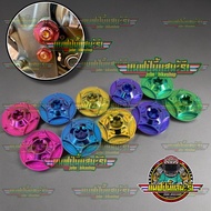 Coin Titanium Frame Ninja 150 R SS RR Original GR5 Vietnam