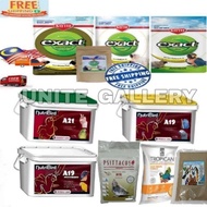 murai Psittacus Kaytee exact Nutribird A21 A19 Tropican HAND FEEDING BABY BIRD 1 Repack nestum burun