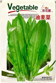 溢翠園藝 - 油麥菜種子 2包裝