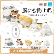 🎏才不會輸給風的動物們🐈1套5隻