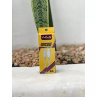 V-GeN VCB-55 3A Type C Cable 1 Meter Super Speed/ Vgen Type C VCB-55 cable