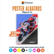 Printout Albatros Poster A1 Size | Print Custom Posters with Your Own Design | Champion Quality | Gl