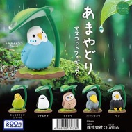 避雨雀仔 鸚鵡 貓頭鷹 鯨頭鸛 動物扭蛋 扭蛋 日本扭蛋 日本代購 景品 玩具 公仔 擺設 figure capsule 周邊 盒玩 盒蛋 食玩