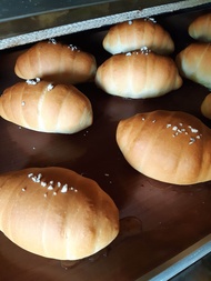ขนมปังเกลือ (ชิโอะปัง)salted butter roll