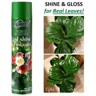Spray Can Leaf Shine Spray Pengilat Kilat Daun 650ml