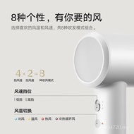 Household High-Speed Mijia Dormitory Blowing High-Power Hair Dryer Student High-Speed H501SE HGEI