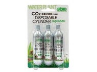 快樂水族-伊士達-拋棄式CO2鋼瓶-16g(三瓶裝)