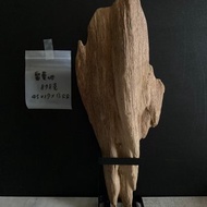 【日常款】野生聖路易沉香擺件(878g)