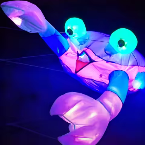 2.3m DDDZ LED Crab Ground Kite 7.55ft Light Up Kite 40D Ripstop Nylon Night Flying Glow In Dark Outd