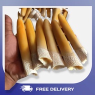 Once Pipa Roko Tarduy Taring Duyung Kw