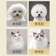 Brush Hair Brush Small Dog Pet Comb Fluffy Dedicated Bichon Dog Grooming Needle Hair Cleaning Teddy 