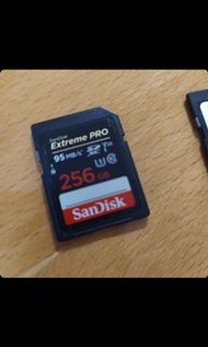 Extreme pro 256gb sd卡