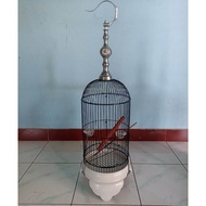 SANGKAR HELOPET PLECI PVC MURAH KANDANG HELOPET COCOK BUAT BURUNG PLECI KONIN DAN BURCIL