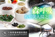 大板根森林溫泉酒店 平日單人裸湯x養生餐x森林入園門票，森呼吸板根美人湯之旅
