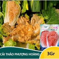 Phoenix Cabbage Seeds (3Gr)