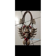 Necklace/fang Necklace/Fang Necklace/ DAYAK Fangs Necklace/ KALIMANTAN DAYAK Fangs Necklace/TARING/ 