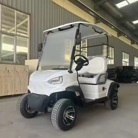 Customizable 4WD Electric Golf Cart with 48V/60V/72V Lithium Battery Energy Saving Low Noise up to 2