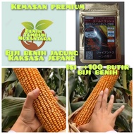 kemasan premium(isi -+100 butir biji benih jagung jepang raksasa