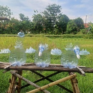 Pot angsa pot galon pot daur ulang botol bekas