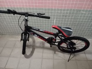 Mountain bike