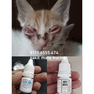 Sakit mata Kucing Dewasa atau Anak
