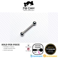 FiBiCandy ITB0002 Barbara 14G Astm F136 Titanium Interally Threaded Basic Barbell Titanium Earring