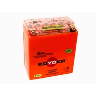 100% Original Koyoko G2 Nanogel Battery YTX16 YTX16-BS BTX16 VN1500 E900 Kawasaki VN1500 Cagiva900 E