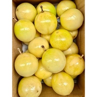 (1kg - 15pcs) Passion Fruit Panama Golden Rose 100% Sweet Buah Markisa Kuning