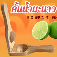 Mango Juice Squeezer lemon Orange