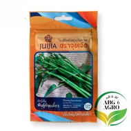 10g Benih Kangkung Air Chinese JJ Noodle / Chinese Convolvulus Seed / Kangkung Air Batang Besar / Ca