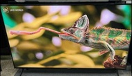 Sony 50吋 50inch X90J Series 4K Ultra HD Google Smart TV 智能電視