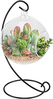 Air Plant Terrarium Kit with Stand, Hanging Glass VaseTerrarium Globe with Metal Ornament Display Stand Tabletop Glass Terrarium for Air Plants Succulent Planters Small Plants