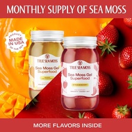 #1 TrueSeaMoss 2-Bottle Bundle: Mango-Pineapple & Strawberry – Wildcrafted Irish Sea Moss Gel –  Ric