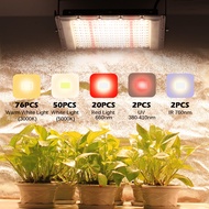 220V Full Spectrum LED Grow Light 50W/100W/300W ไฟปลุกต้นไม้ ไฟช่วยต้นไม้ตัวเร็ว แสงขาว แสงธรรมชาติ มีสวิตช์ปิดเปิด สายไฟยาว1.5โมตร