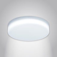 [特價]Lightness LED吸頂燈 日禾 22W 白光2入