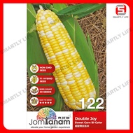 Sweet Corn Bi-Color Double Joy Benih Jagung Manis Mutiara 超甜黄白玉米 Jom Tanam Seeds 种子 JT-122