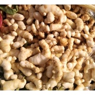 500G UBI TEMU | TEMU PAUH | TEMULAWAK FRESH / UBI RIZOM TEMU MANGGA / ULAM AWET MUDA