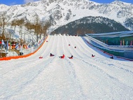 Gyeonggi-do Yangju Snowflake Festival Day Tour from Seoul