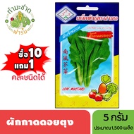 3A (ซื้อ10แถม1) เมล็ดพันธุ์ ผักกาดดอยตุง ขนาด 5 กรัม ประมาณ 1500 เมล็ด LEAF MUSTARD ผักเจ้าม่อน กาดด