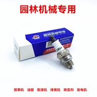 C. c. Low Price Spike Torch Spark Plug CM6A/L7T/BM6A Lawn Mower Hedgehog Tea Tree Trimmer Filling Ma